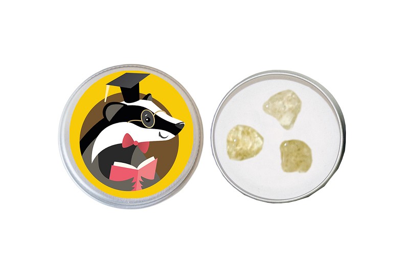 Duftstein Professor Dachs klein